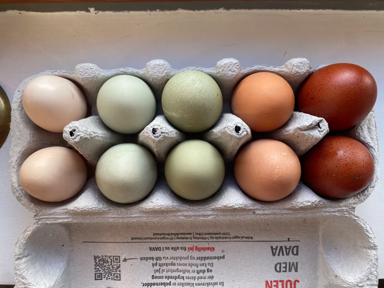Billede 7 - Rugeæg i mange farver fra blandet hønseflok