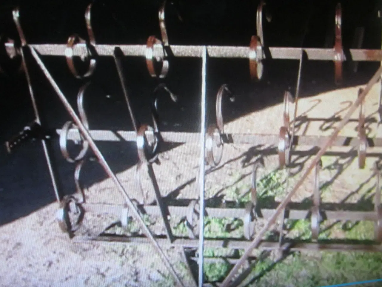 Billede 2 - Lille Harve