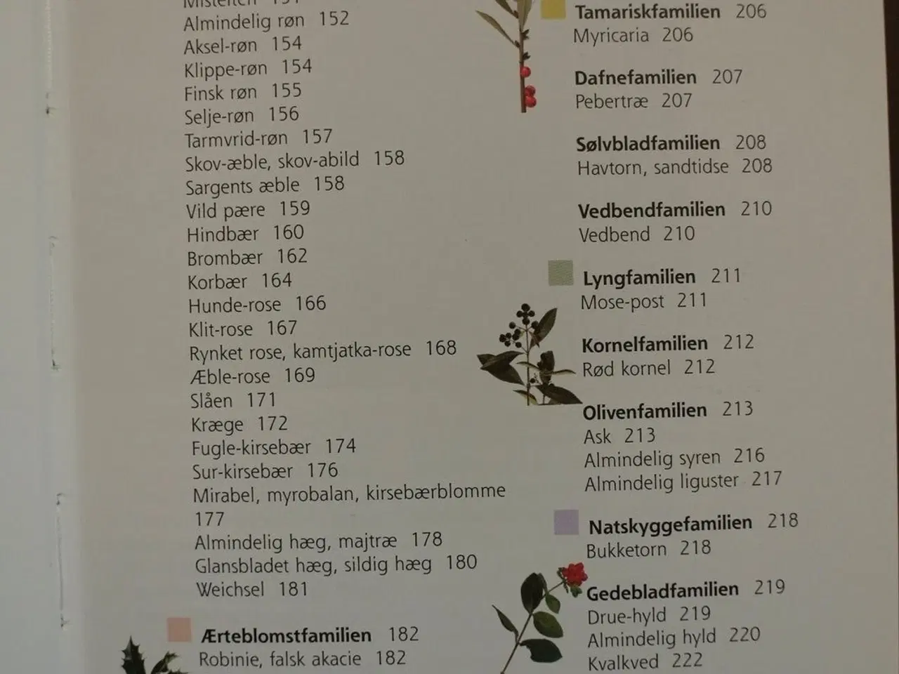 Billede 3 - træer og buske i landskabet, af helge vedel og jet