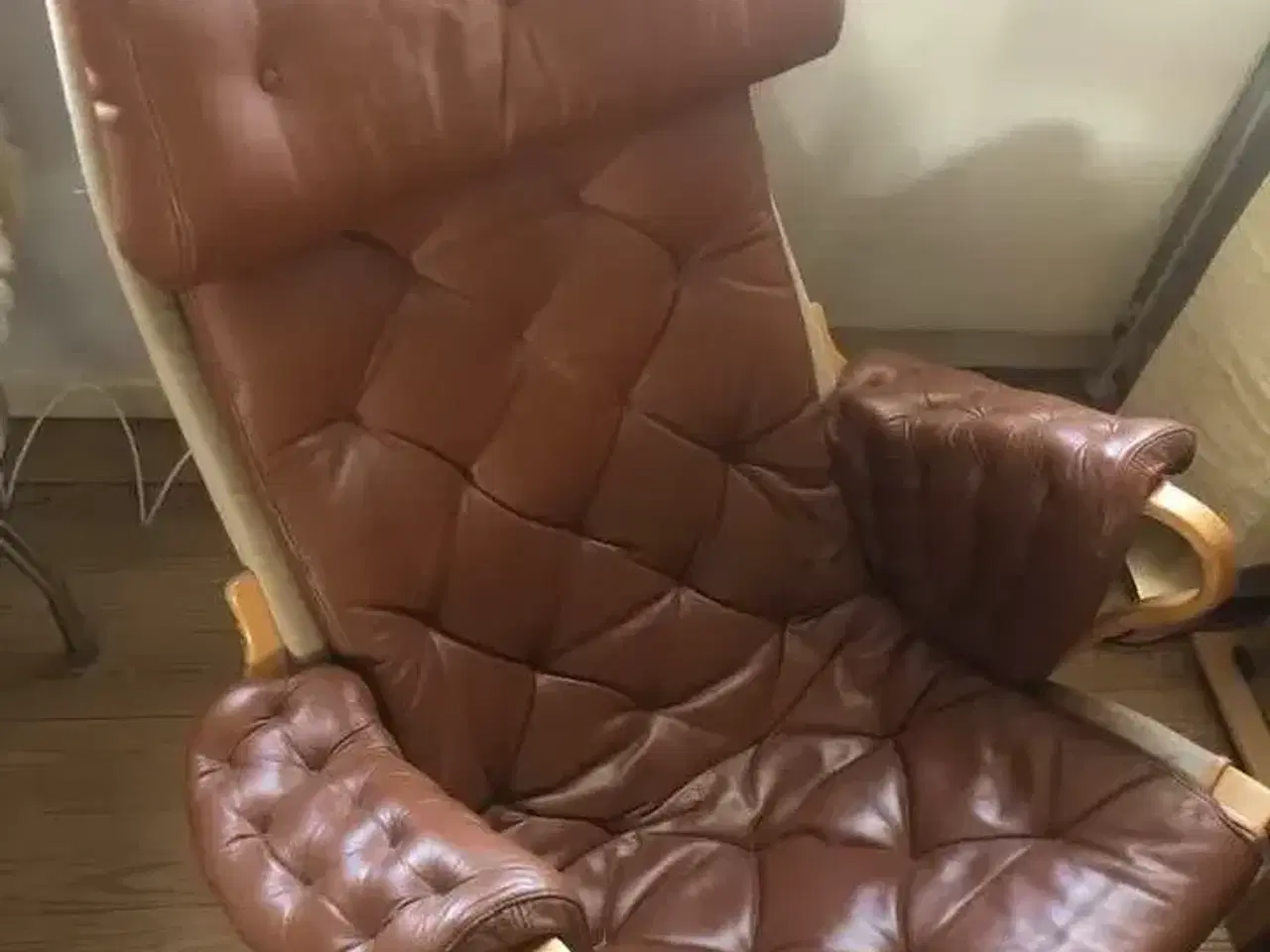 Billede 3 - Dux Pernilla 69