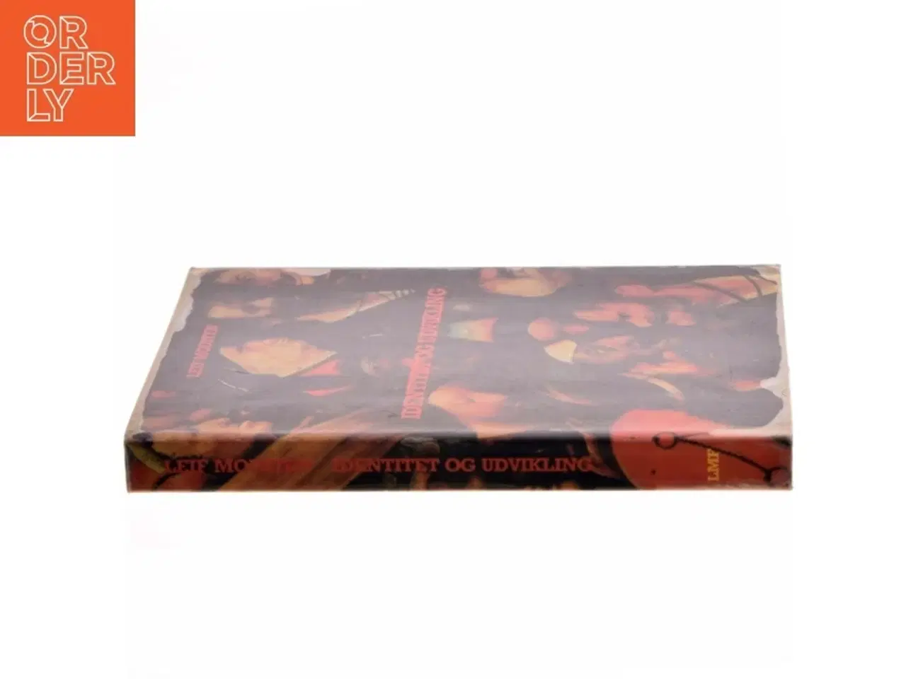 Billede 2 - Identitet og Udvikling af Leif Mousten (Bog)