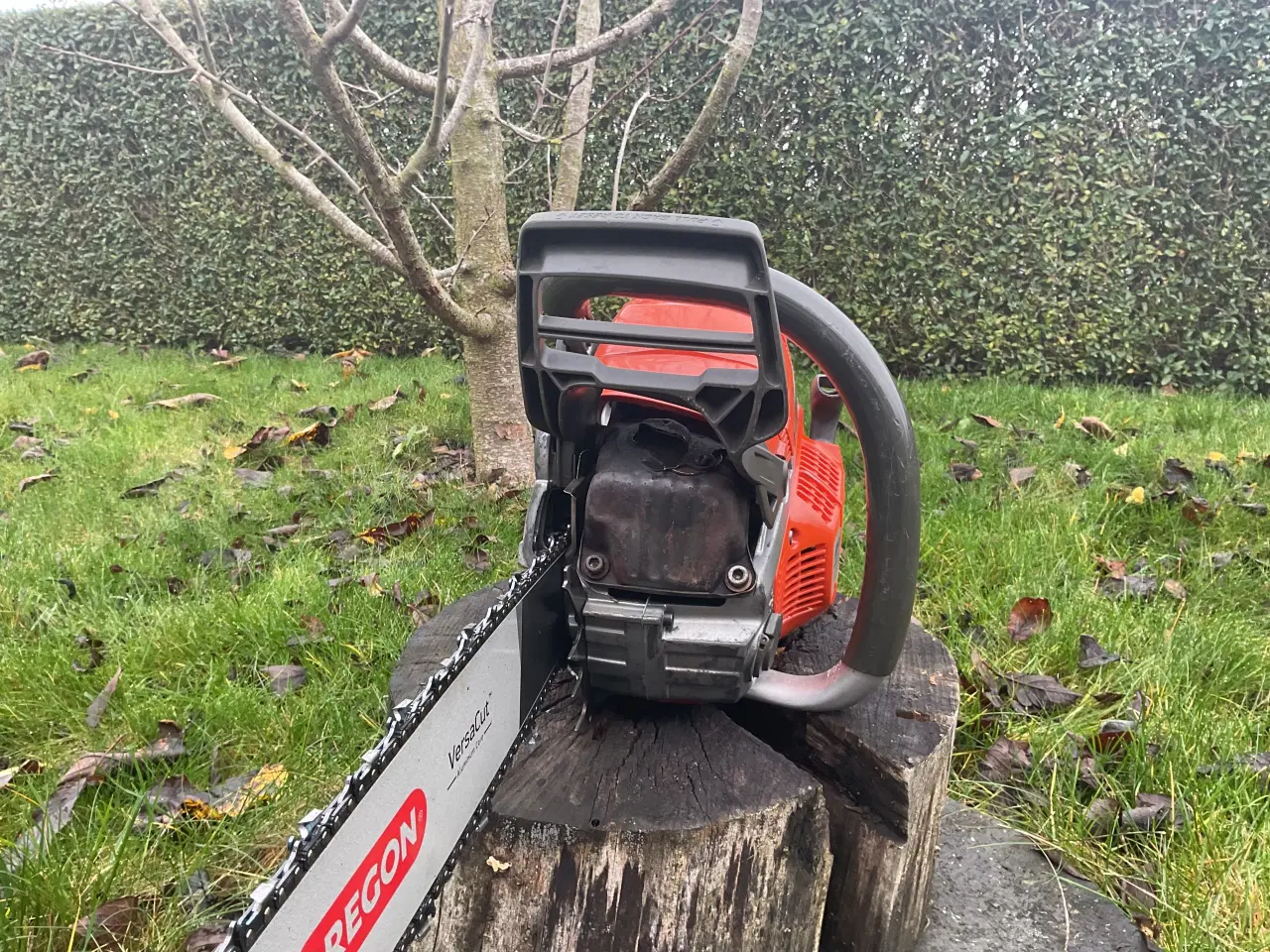 Billede 4 - Husqvarna 560XPG