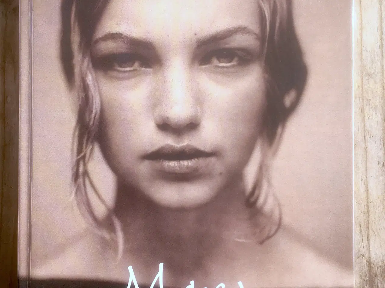 Billede 1 - Mary - heksens datter,  Celia Rees, genre: drama, 