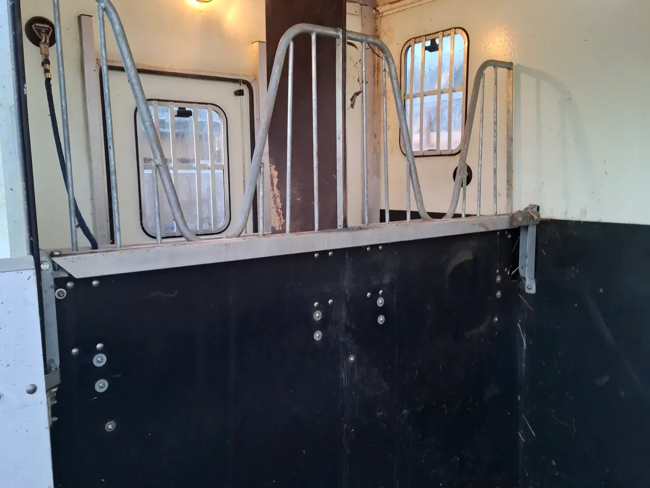 Billede 5 - Equi-trek day-treka hestetrailer