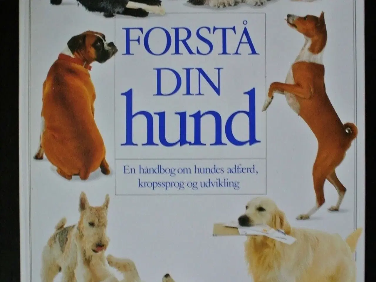 Billede 1 - forstå din hund, af bruce fogle, emne: dyr
