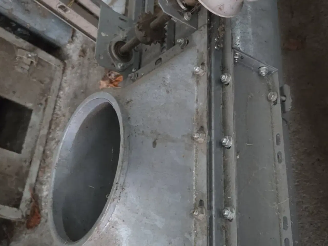 Billede 1 - Søby rørsnegl med 1 indløb og 4 udløb