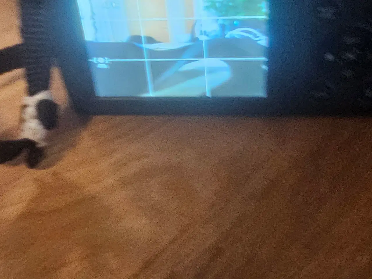 Billede 5 - MEDION LIFE