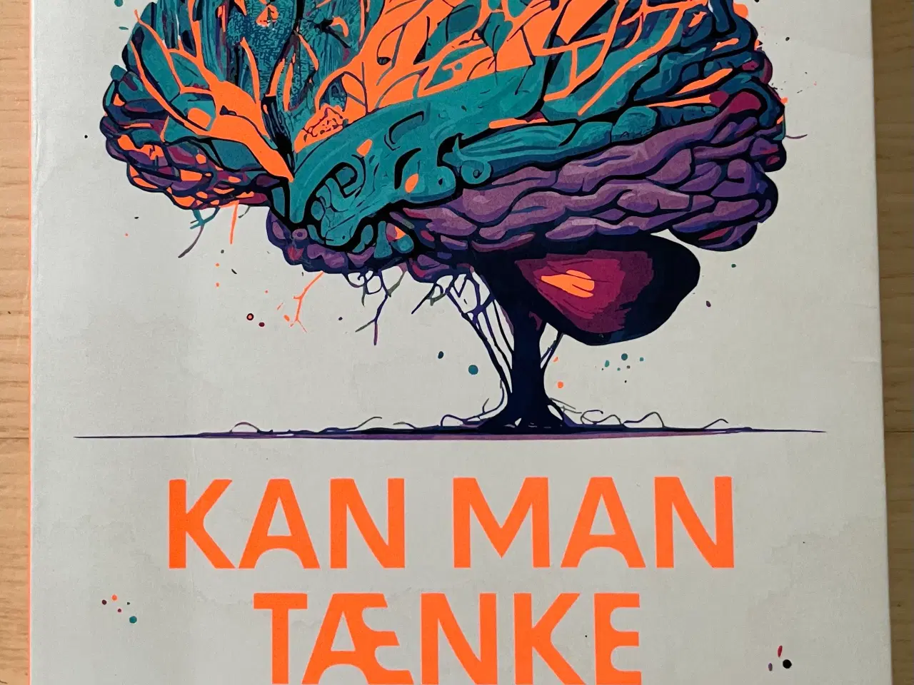 Billede 1 - Kan man tænke sig rask? Bog af Thomas Breinholt