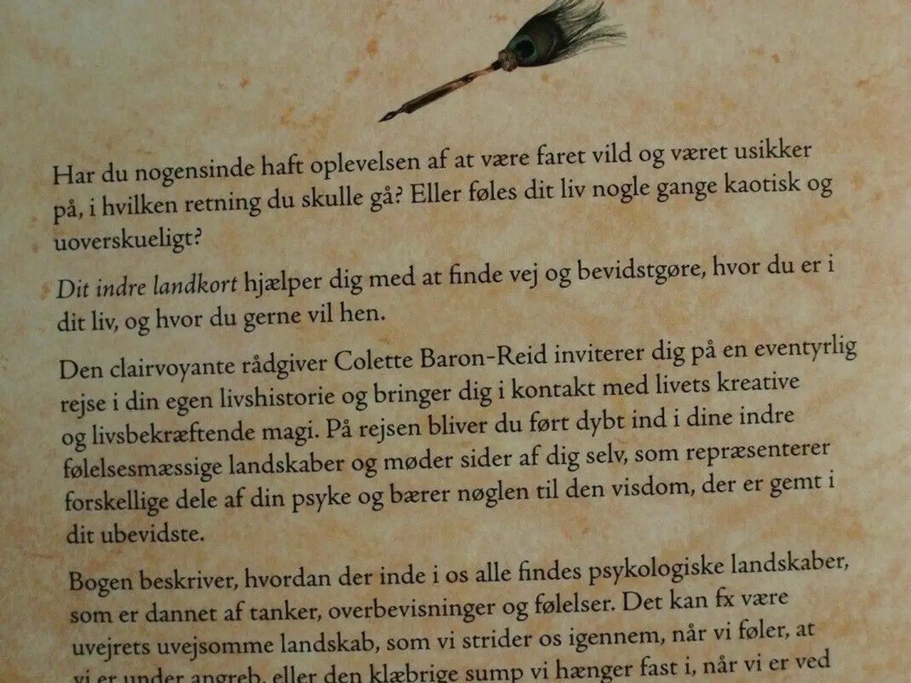 Billede 4 - dit indre landkort - find magien og meningen med ,