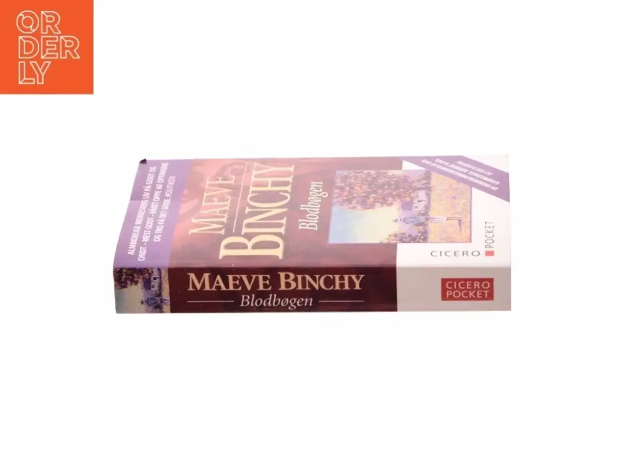 Billede 2 - Blodbøgen af Maeve Binchy (Bog)