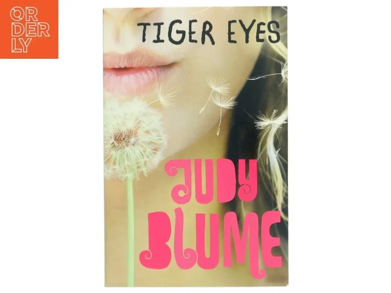 Billede 1 - Tiger Eyes af Jydy Blume (Bog)