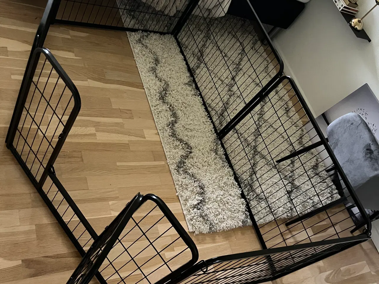 Billede 4 - Hunde/hvalpegård