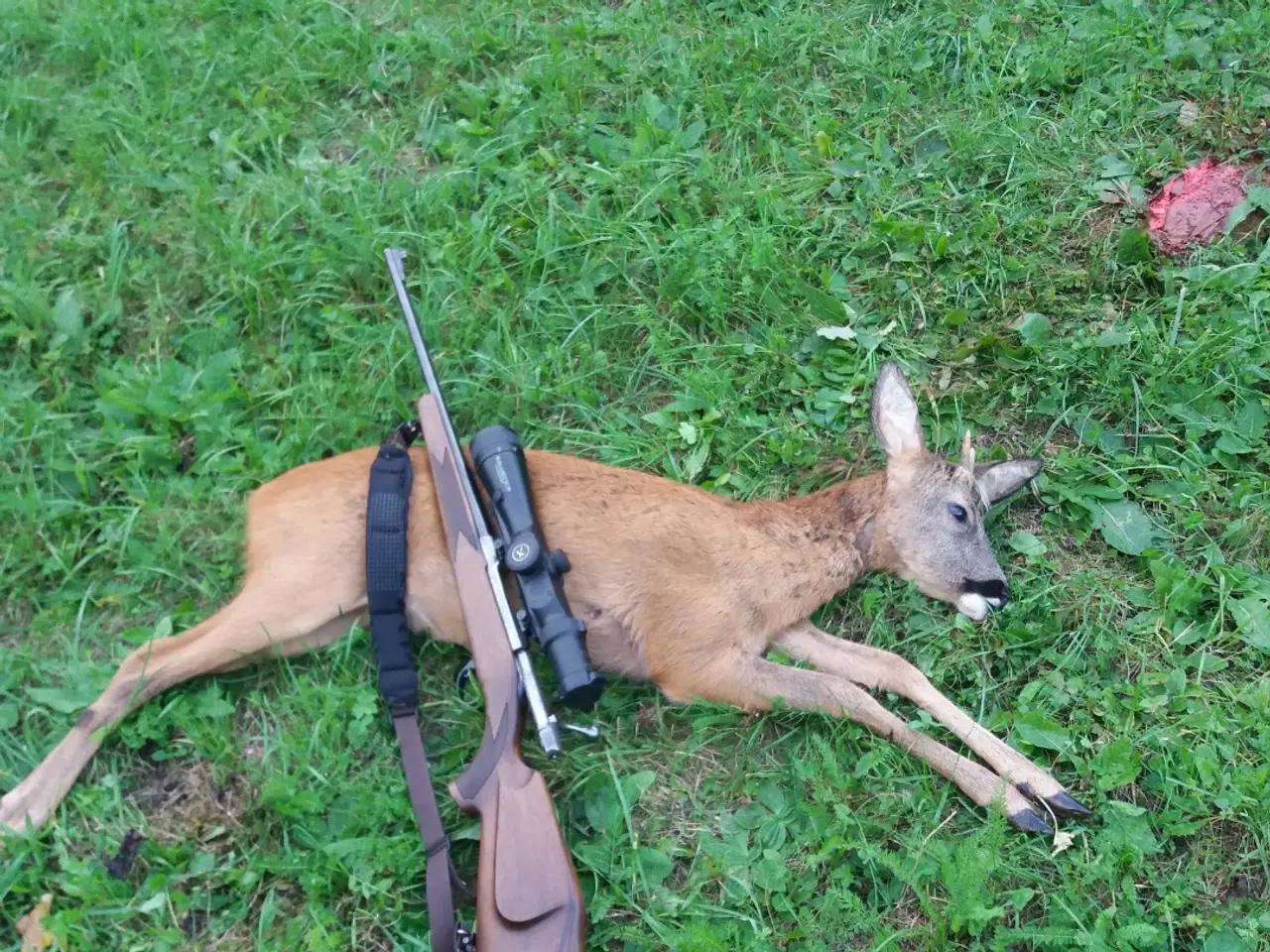 Billede 6 - Jagtriffel 308 win