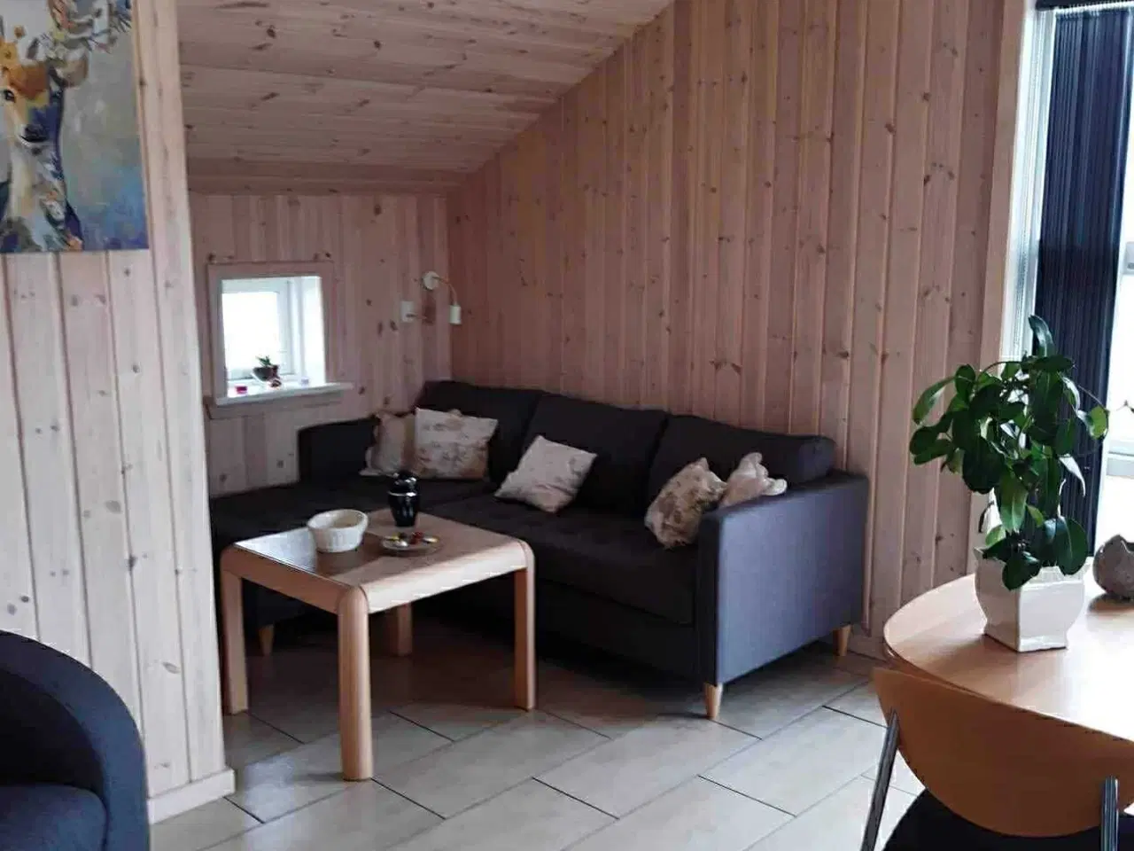 Billede 14 - Sommerhus udlejes …..hund tilladt