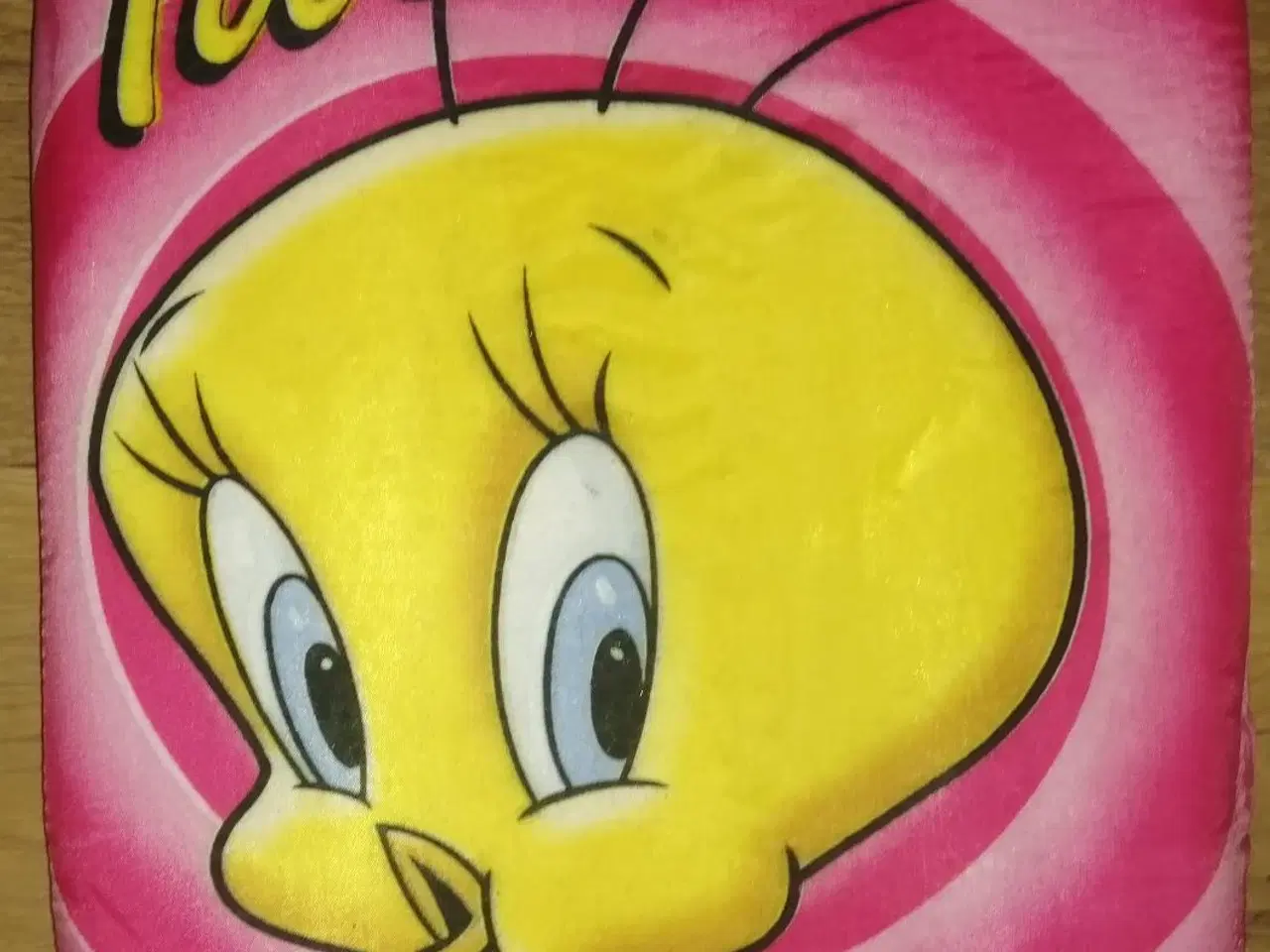 Billede 2 - 2 NYE TWEETY SVØMMEPLADER