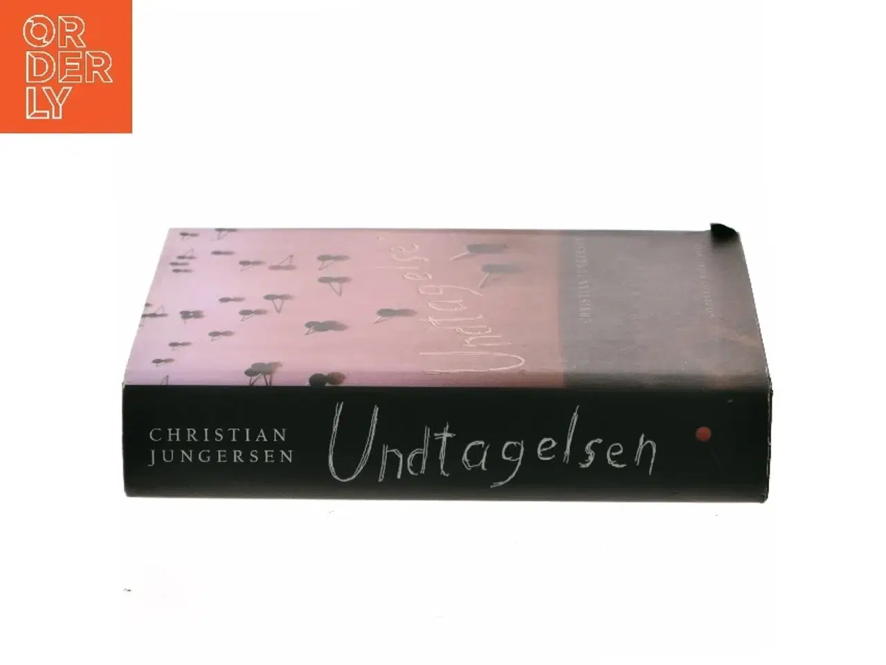 Billede 2 - Undtagelsen : roman af Christian Jungersen (Bog)