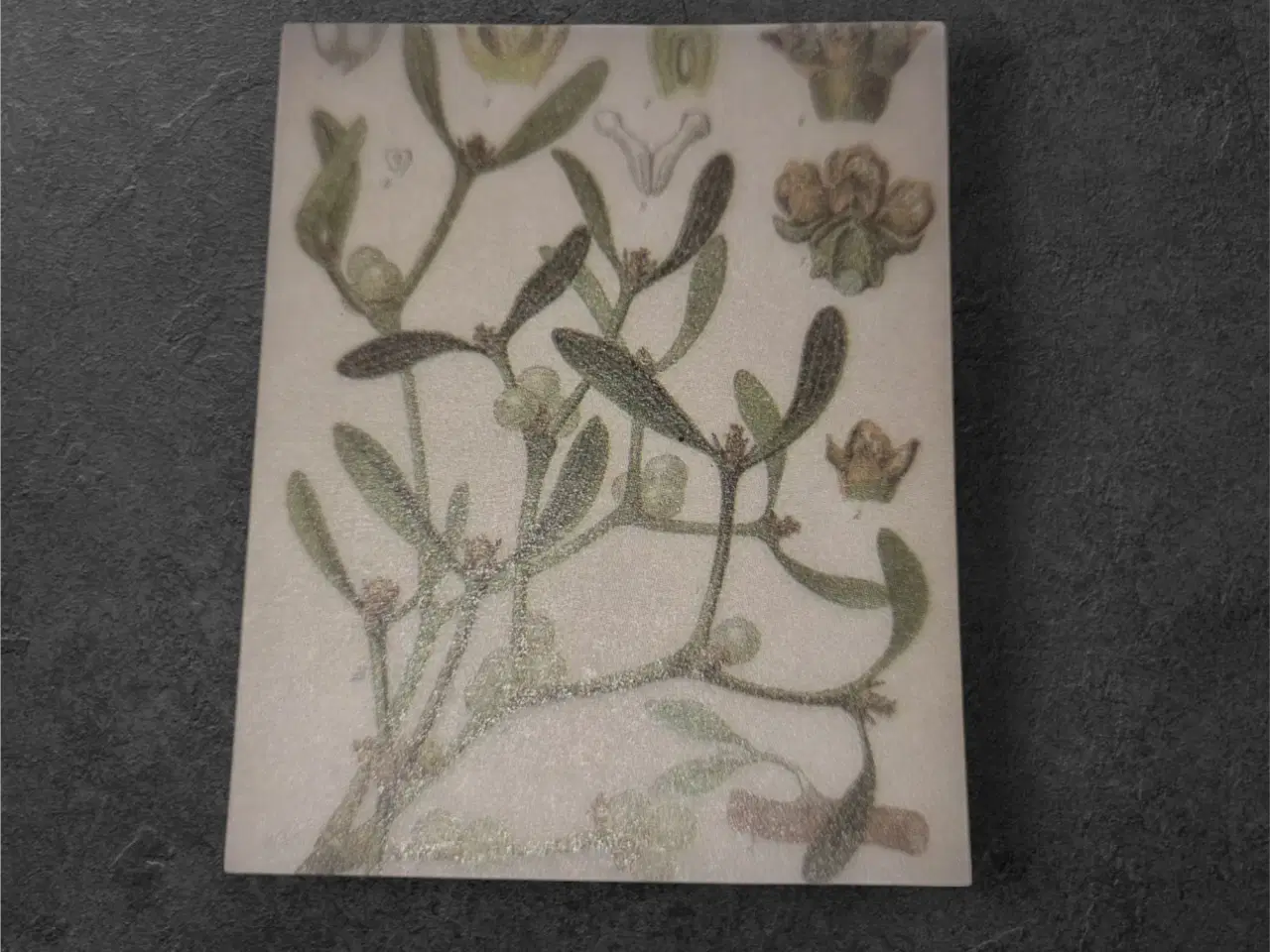 Billede 1 - Papirark med botanisk motiv af bær og grønne blade