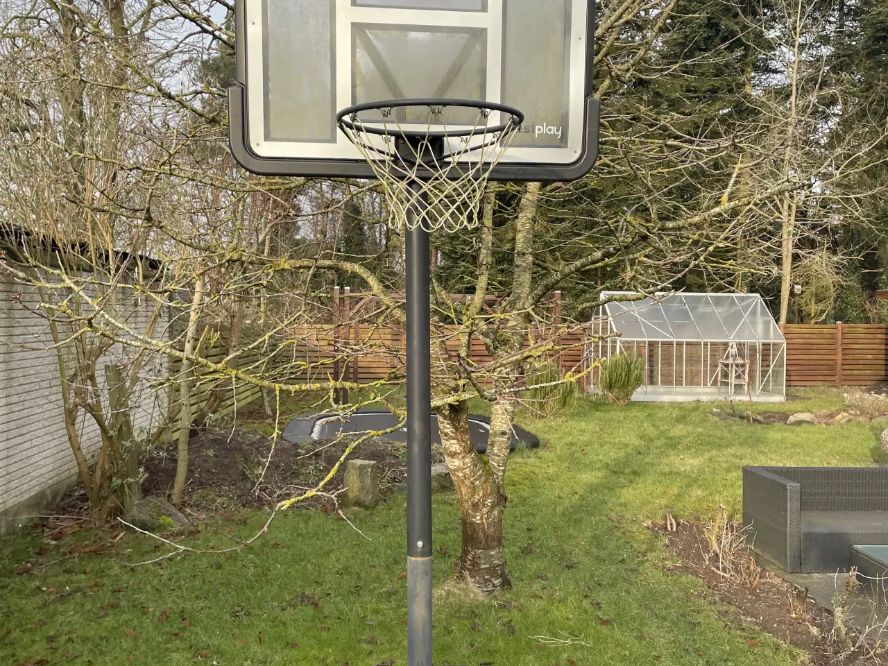 Billede 1 - Bestplay LUX basketballstander + ball return
