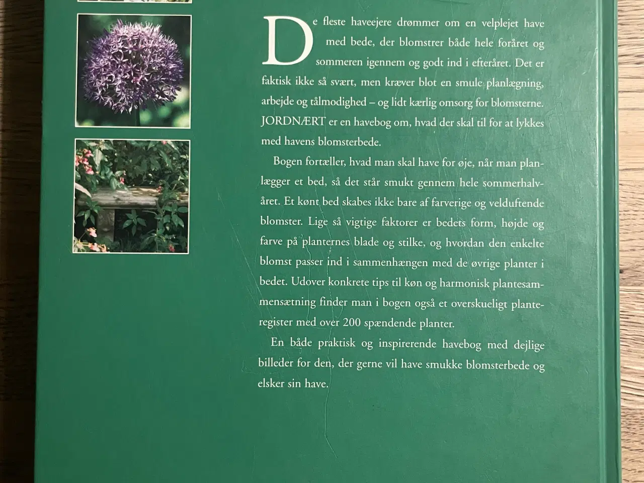 Billede 2 - Jordnært, Yvonne Dengin m.fl.