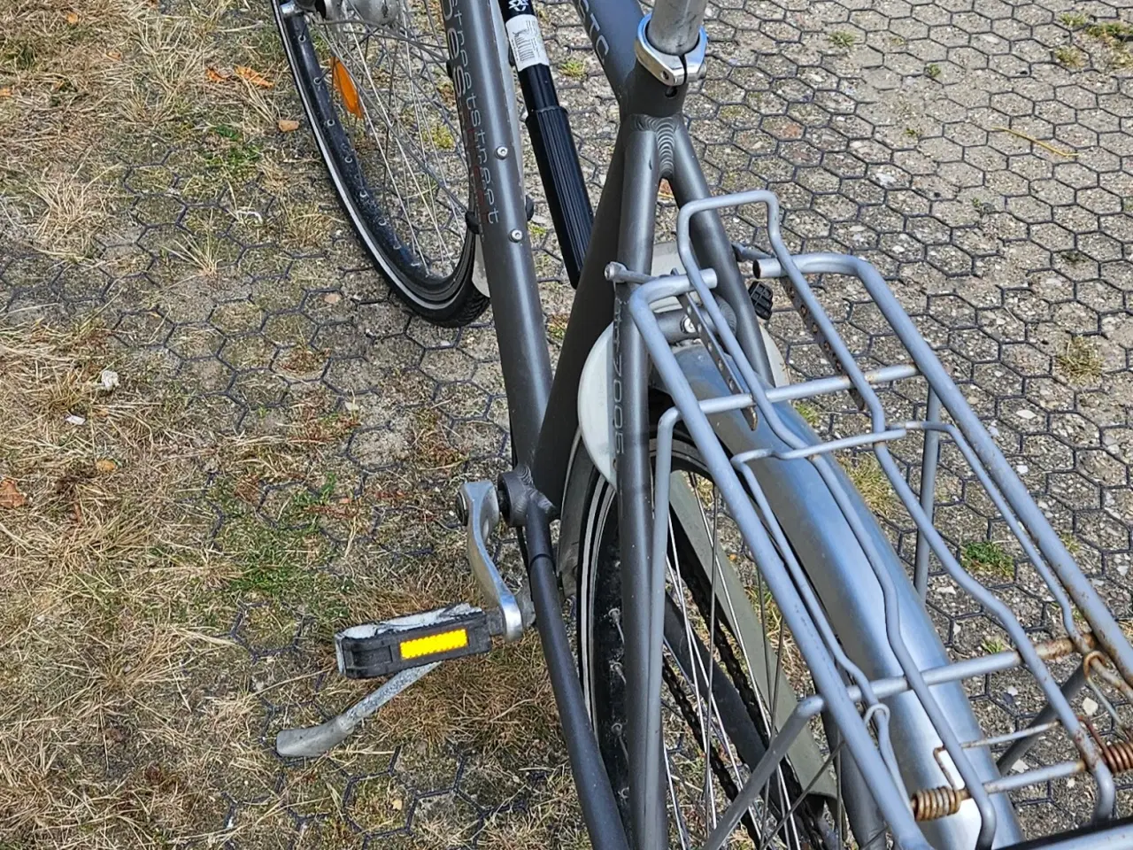 Billede 2 - Kildemose 