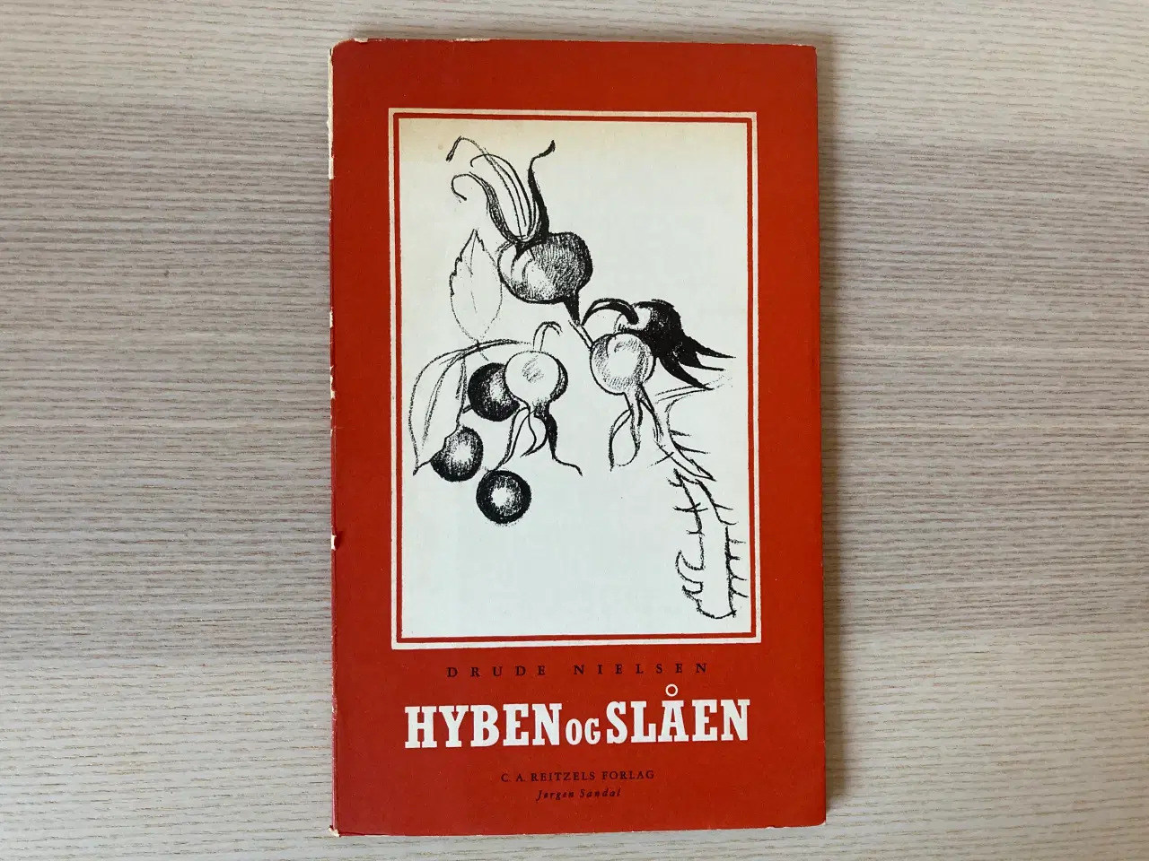 Billede 1 - Hyben og Slåen - Drude Nielsen