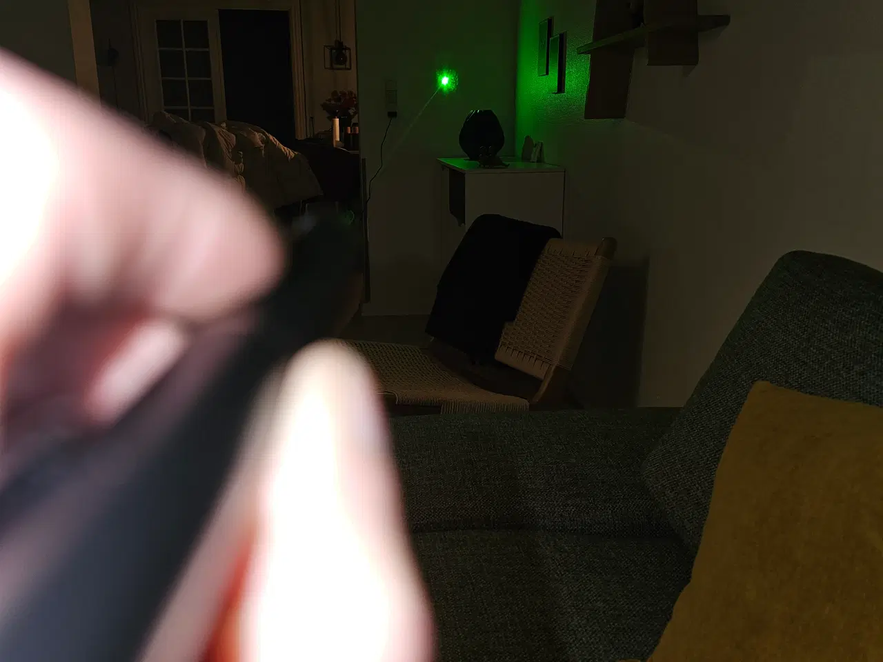 Billede 4 - laserpointer professionel