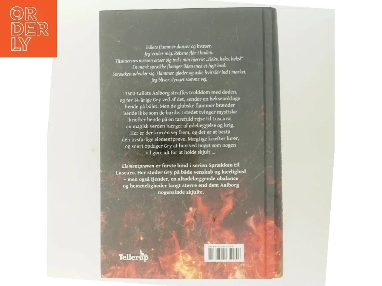 Billede 3 - Elementprøven af Julie Midtgaard (f. 1991) (Bog)