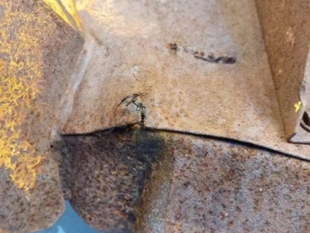 Billede 2 - New Holland 8080 Biso Spredeskærm 89509885