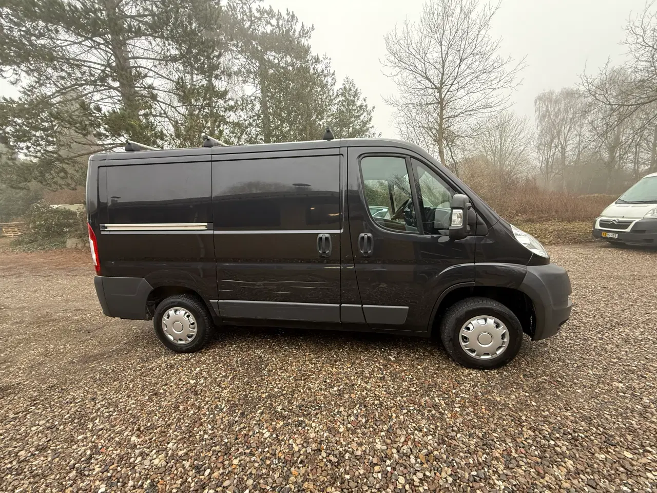 Billede 4 - Pænt boxer fra 2014 