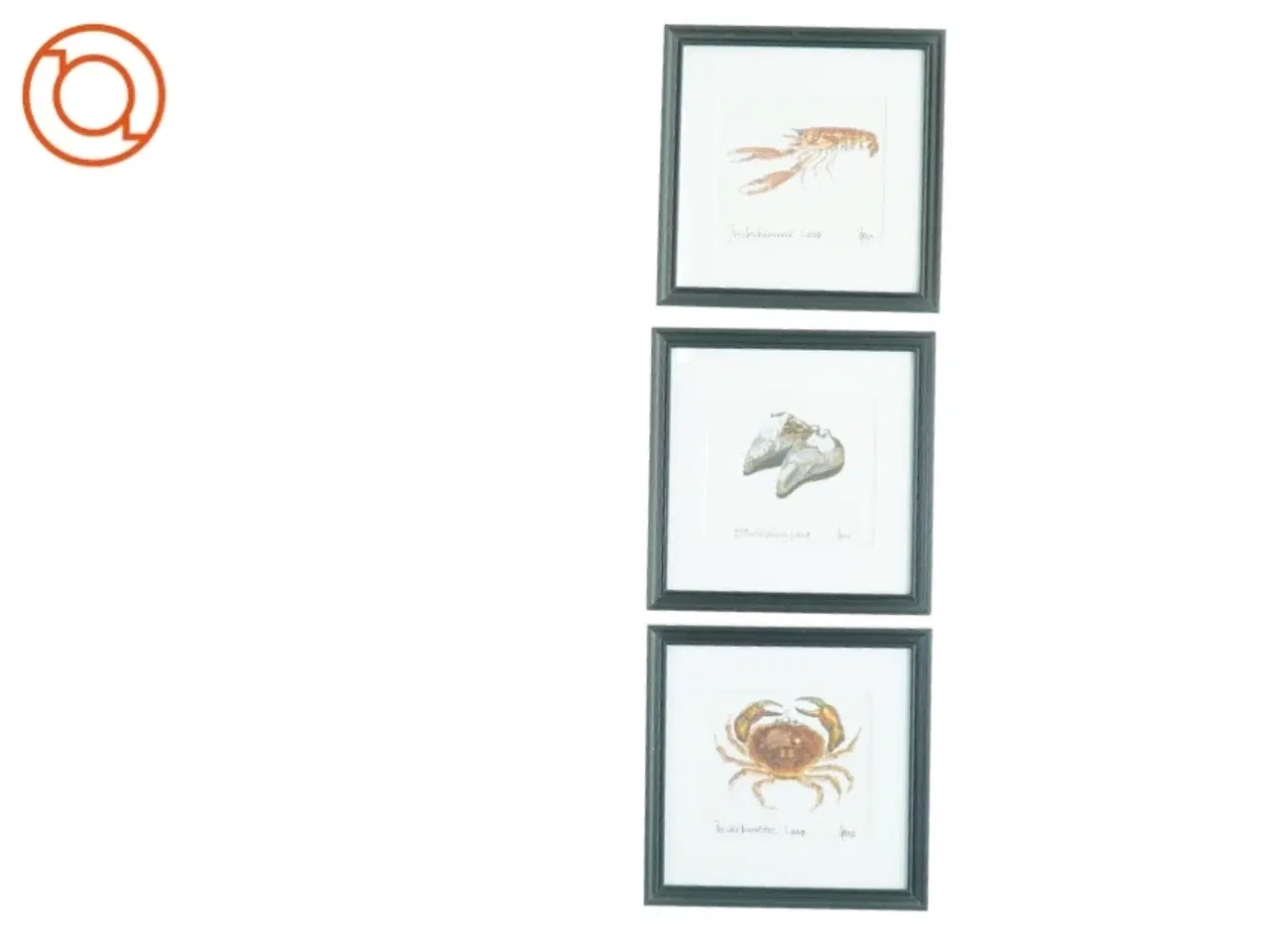 Billede 5 - Samling af tre indrammede illustrationer (str. 22 x 22 cm)