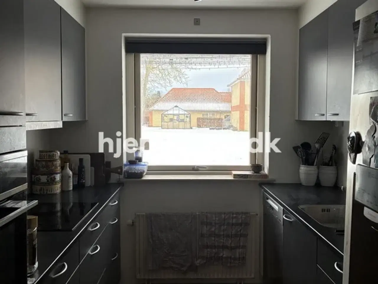 Billede 3 - Hjembytte - Nødebohave