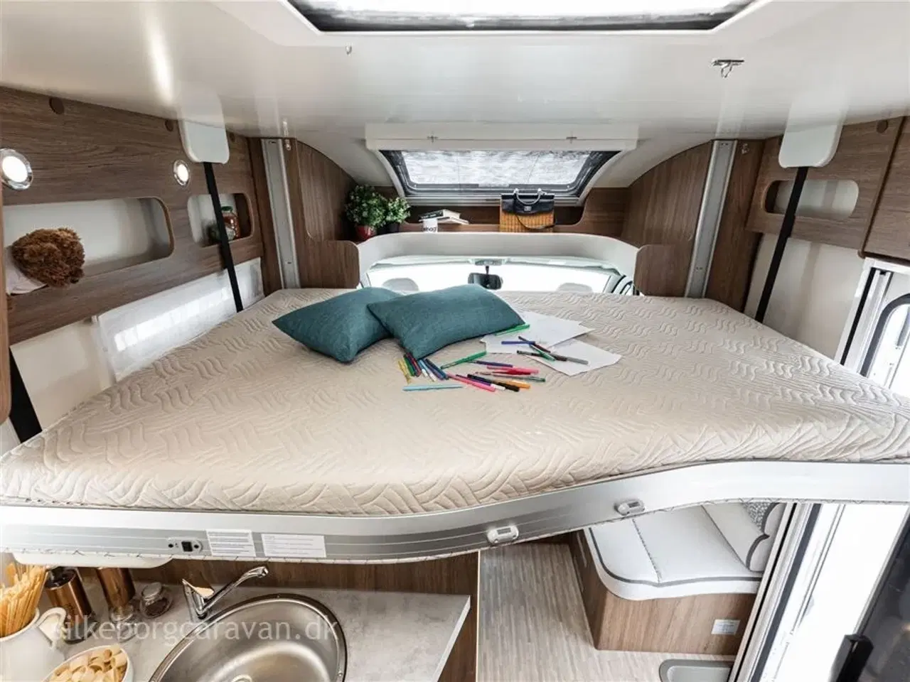 Billede 8 - 2026 - Elnagh Baron 579