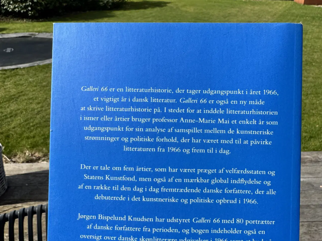 Billede 2 - Galleri 66 af Anne-Marie Mai