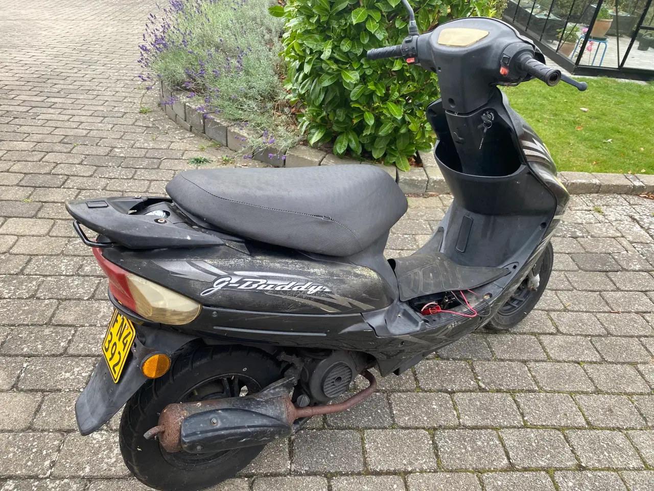 Billede 4 - Giantco  G-buddy