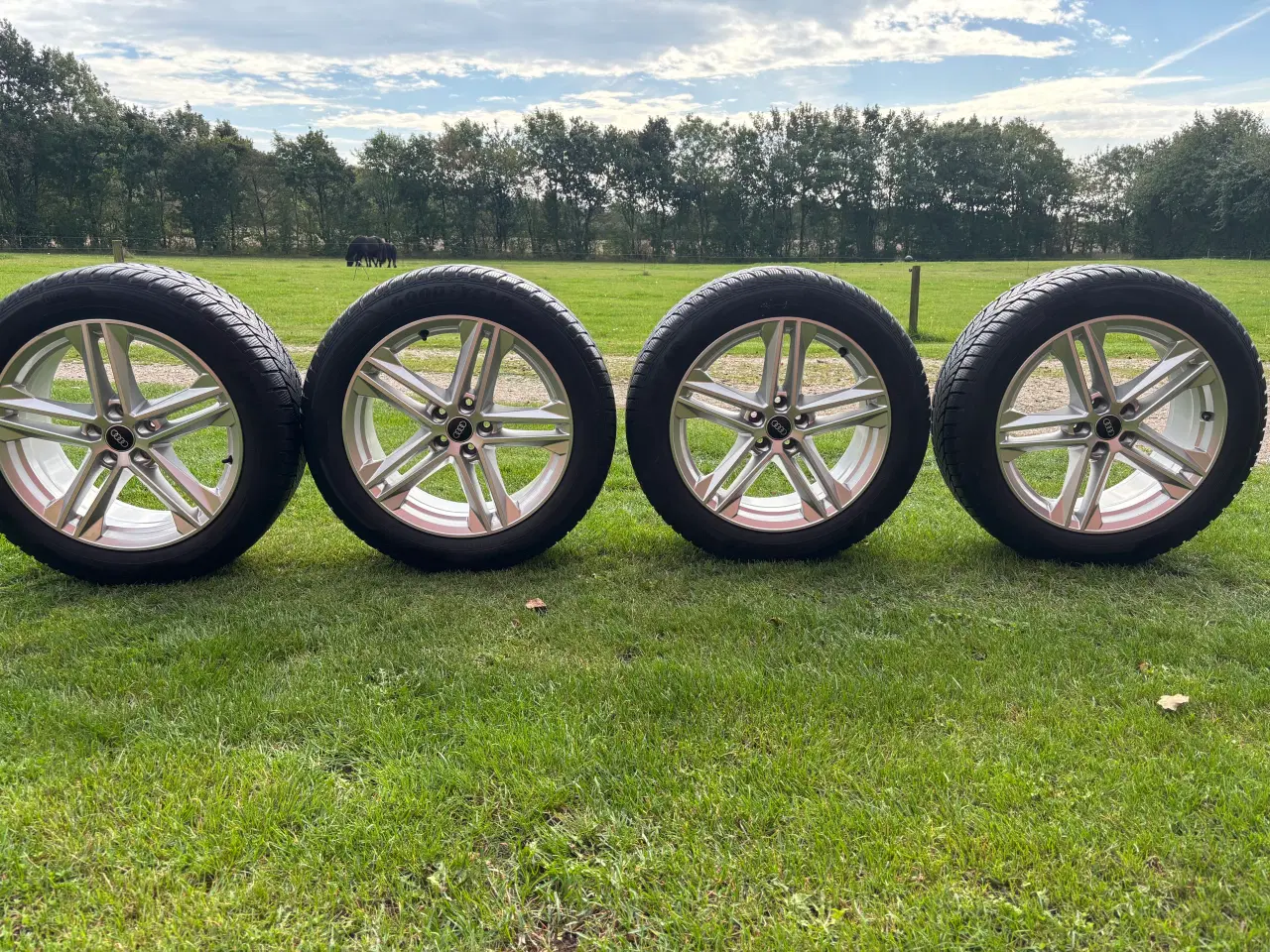 Billede 3 - Vinterhjul til Audi Q5