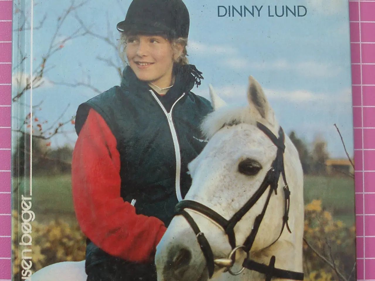Billede 1 - Ponybogen af Dinny Lund