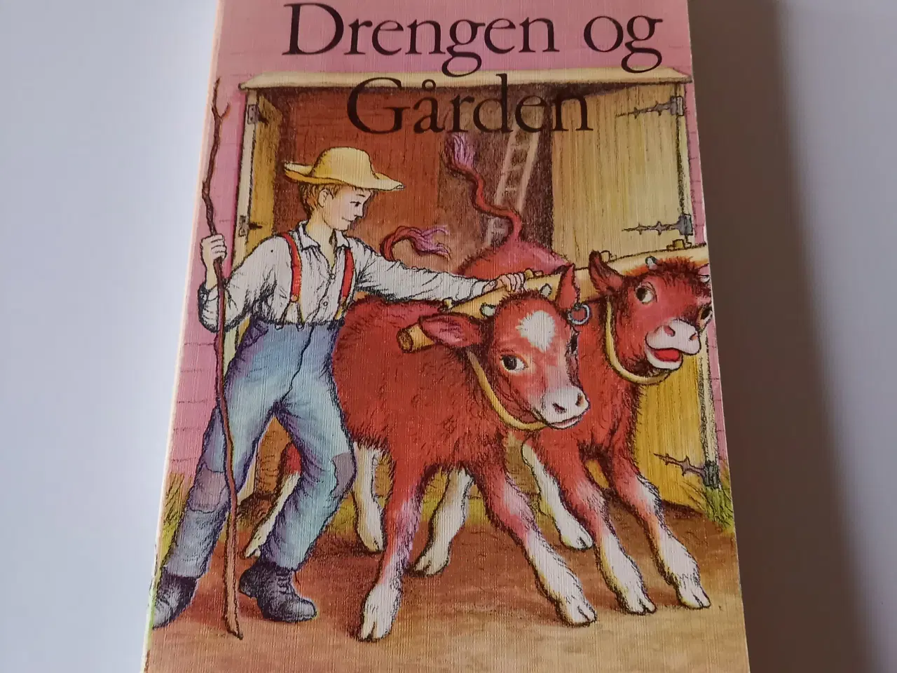 Billede 5 - Det lille Hus ved Floden og Drengen og Gården 