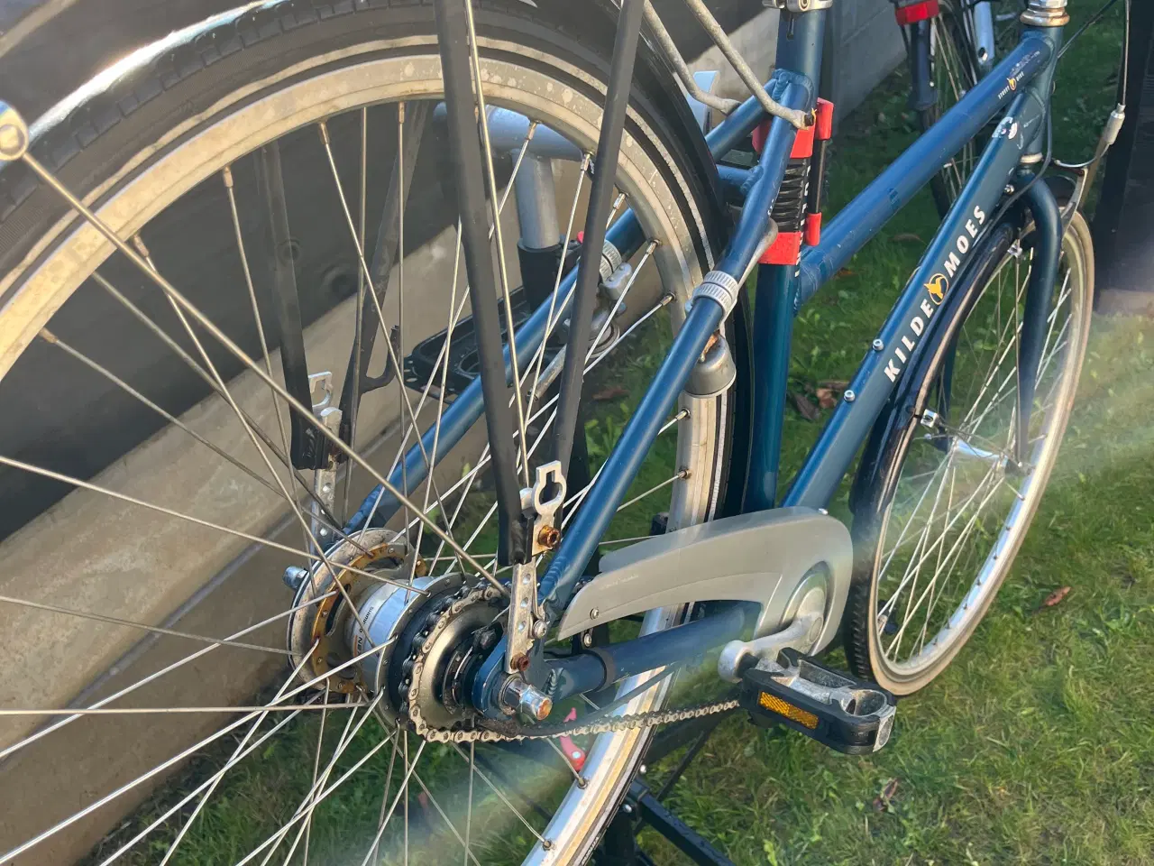 Billede 3 - Kildemoes i blå cykel 