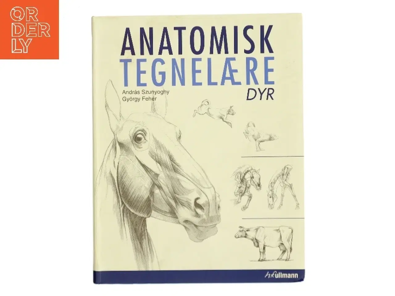 Billede 1 - Anatomisk tegnelære : Dyr af Gyrgy Fehér (Bog)