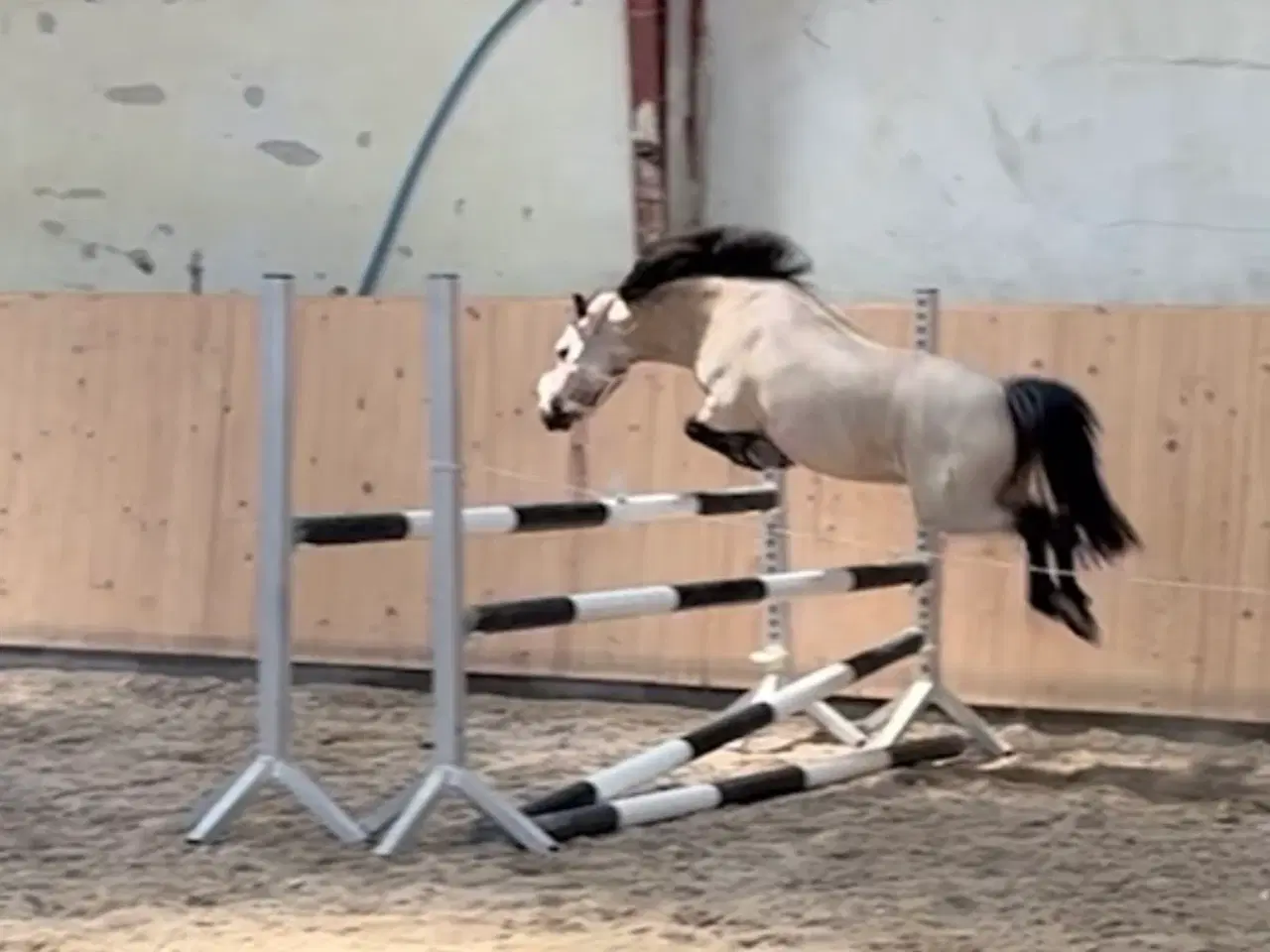 Billede 1 - Sødeste 3 pony