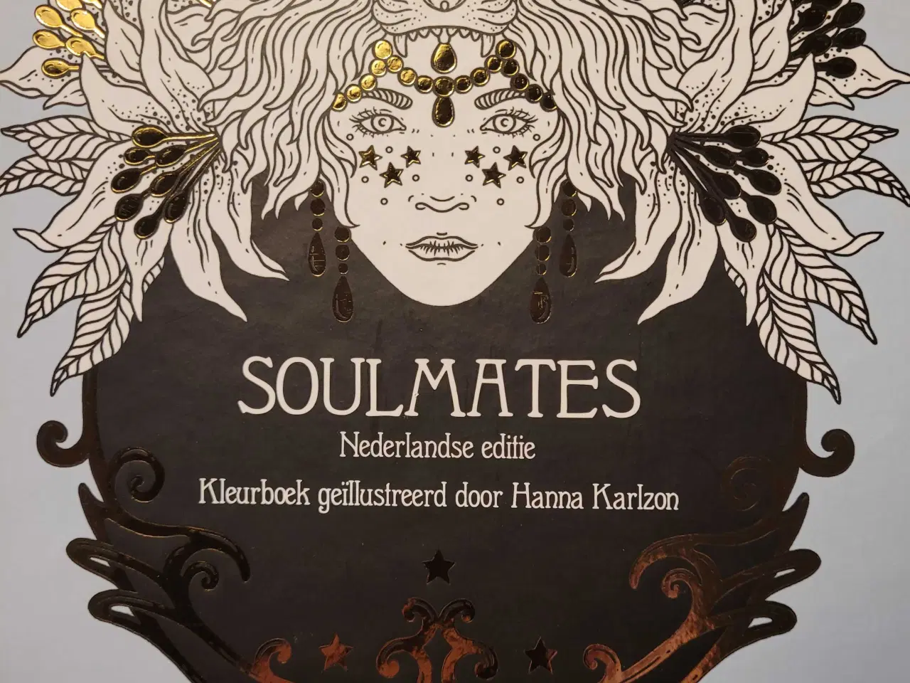 Billede 2 - Hanna karlzon  malebøger 