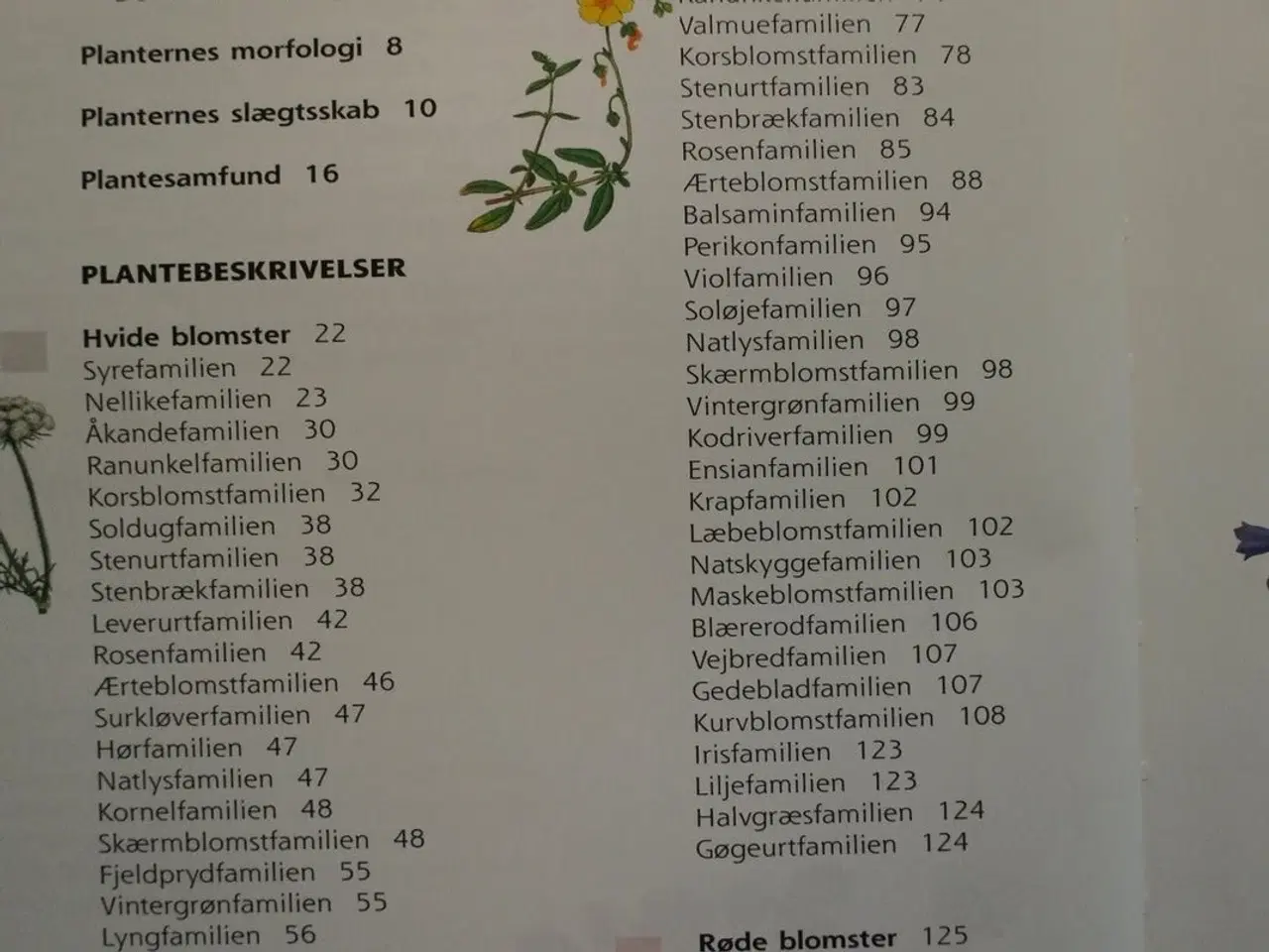 Billede 2 - den store florabog, af kirsten bruhn møller og knu