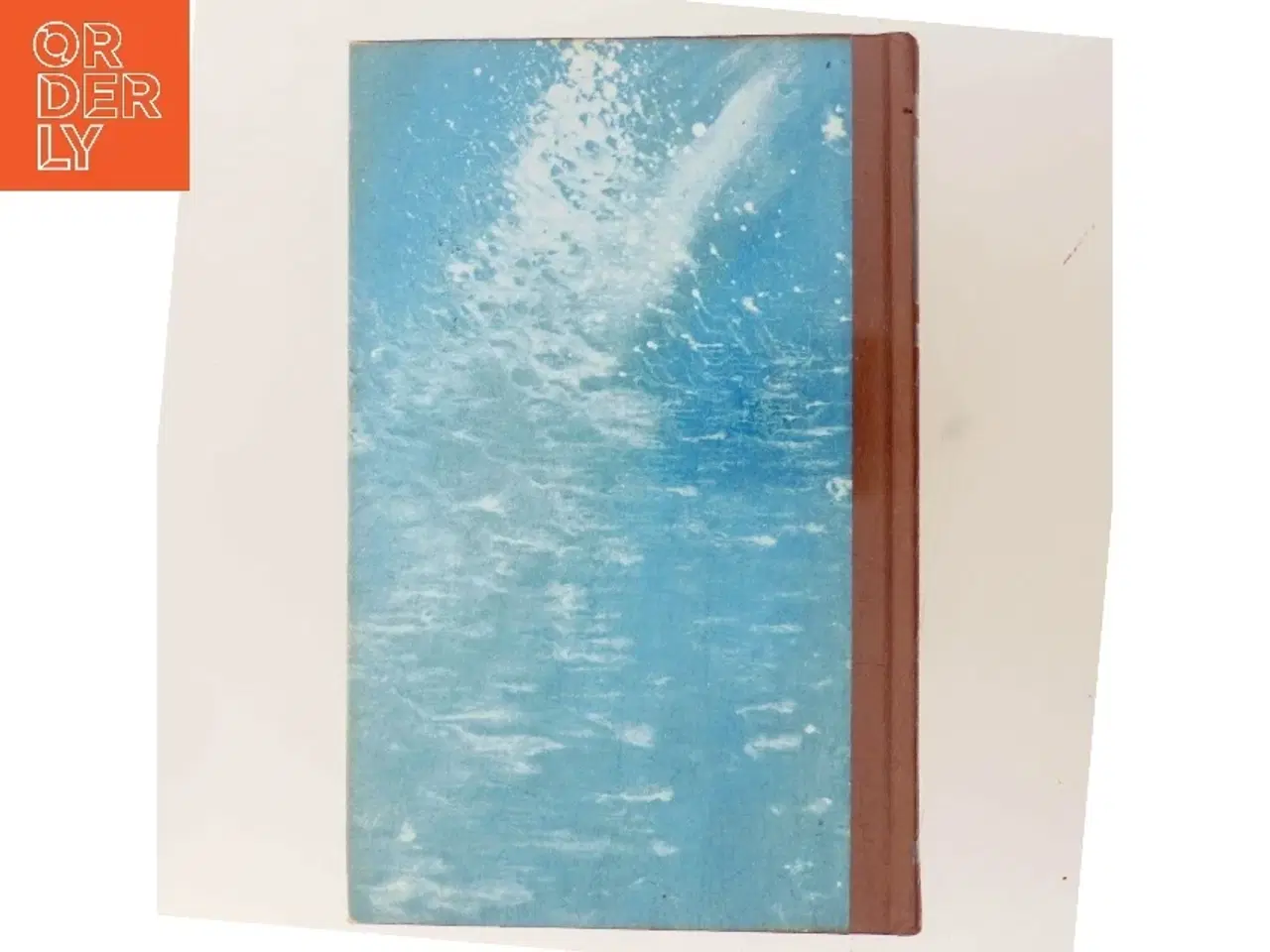 Billede 3 - Dänische Sagas 1 af Saxo Grammaticus (Bog)