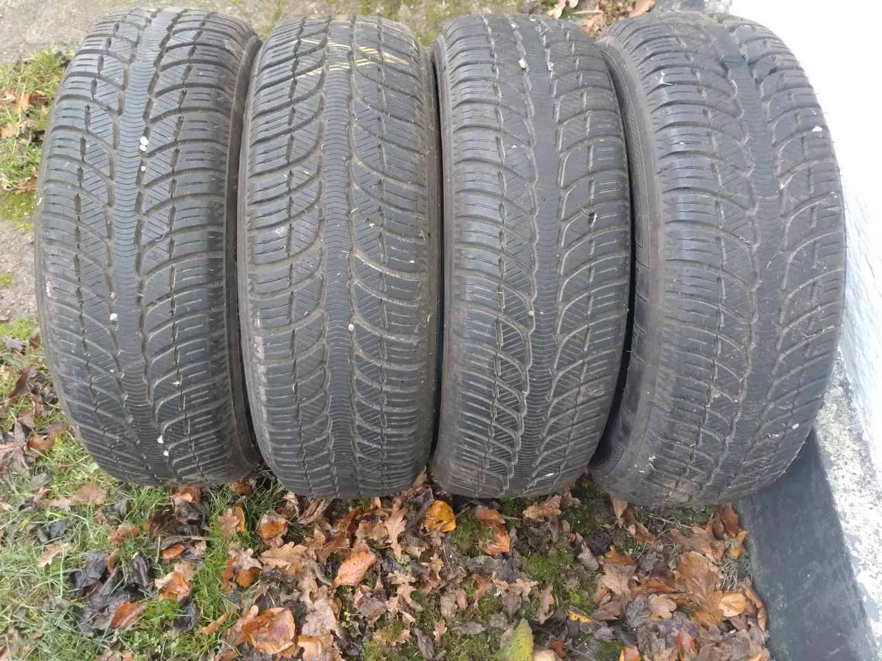 Billede 1 - Helårsdæk