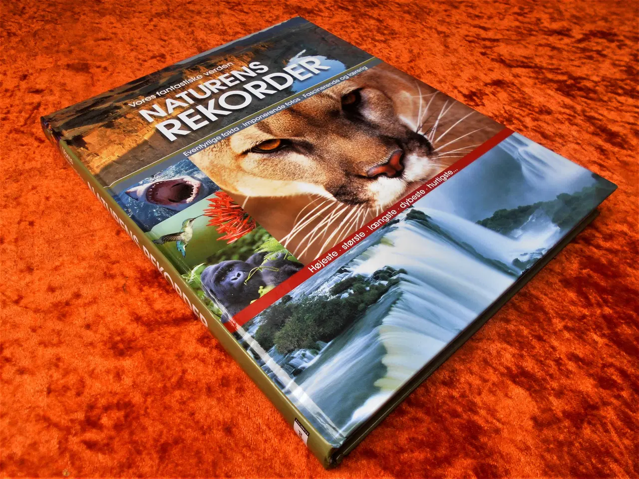 Billede 1 - Naturens rekorder