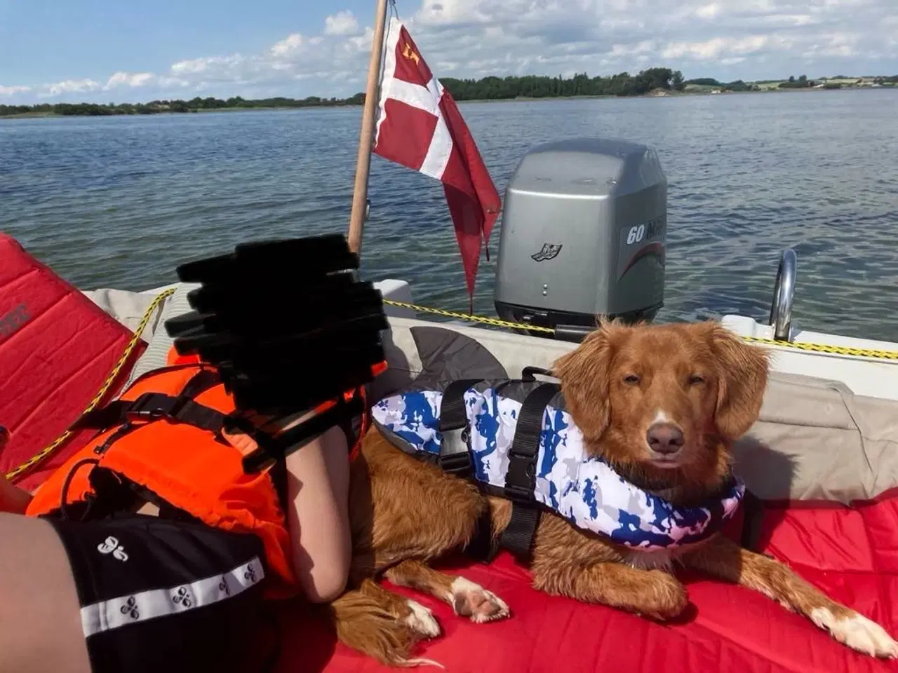 Billede 15 - 16 fod POCA båd med 60hk motor og bådtrailer