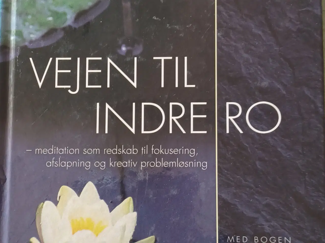 Billede 1 - VEJEN TIL INDRE RO