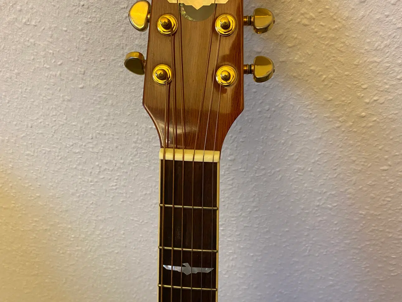 Billede 2 - Washburn EA26 Limited Edition