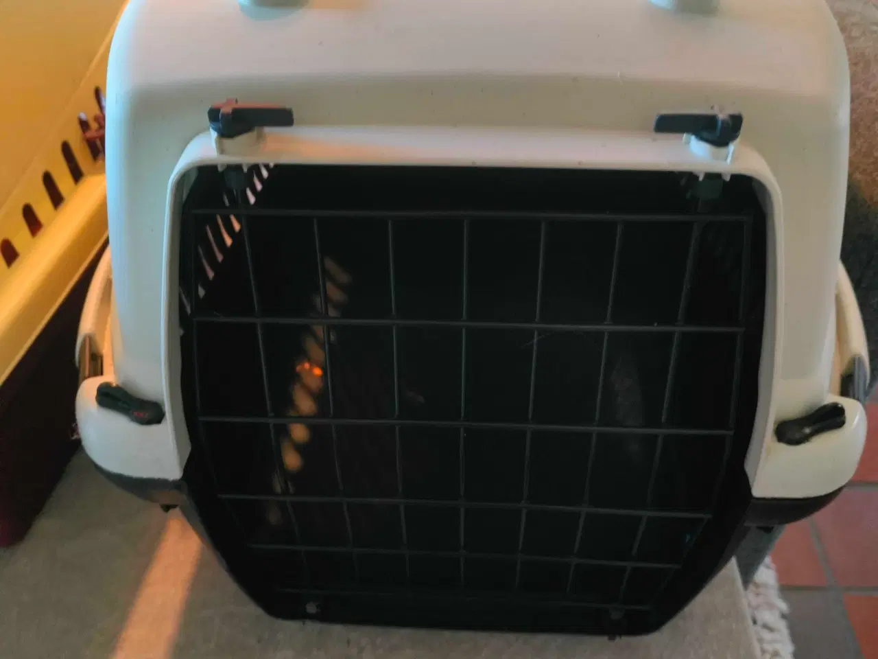 Billede 2 - Billige transportbure til kat/lille hund