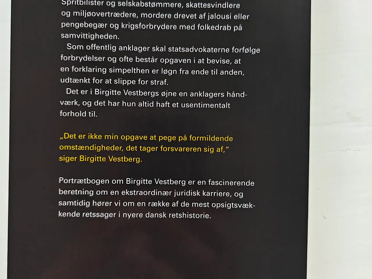 Billede 2 - Statsadvokaten - Birgitte Vestberg